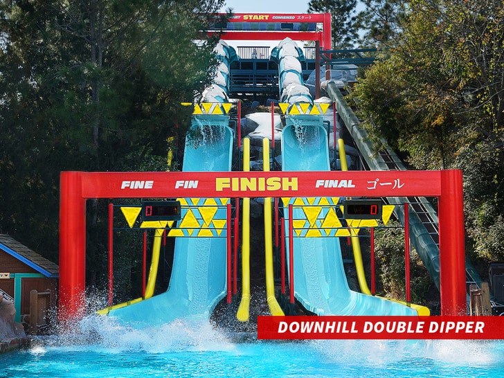 Downhill-Double-Dipper-disney-world