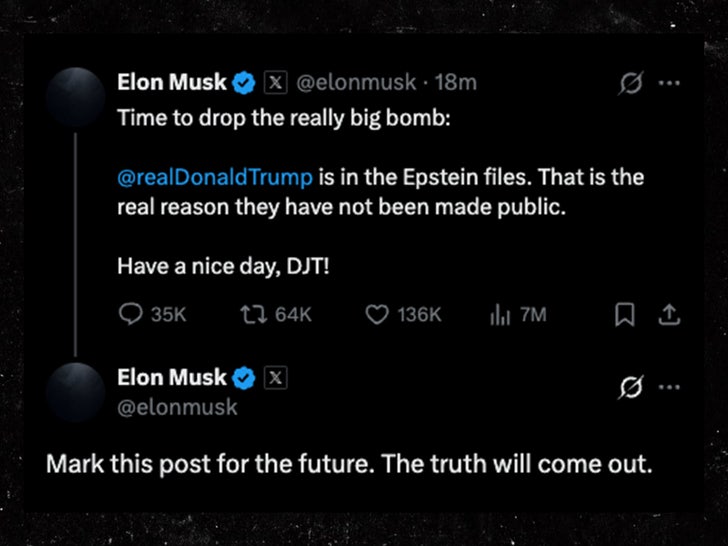 elon musk donald trump x sub