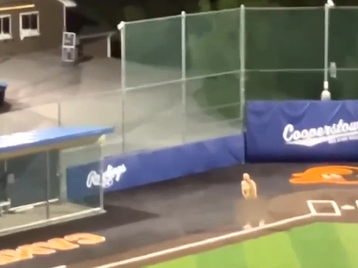baseball-coach-3