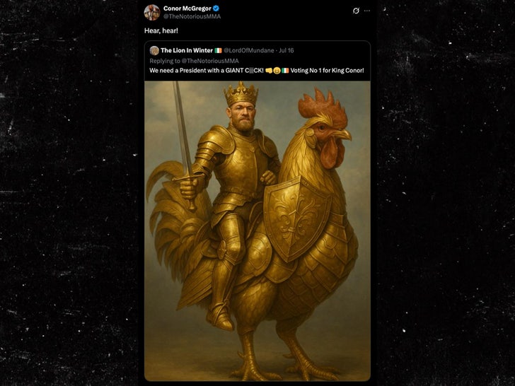 conor mcgregor tweet sub x 2