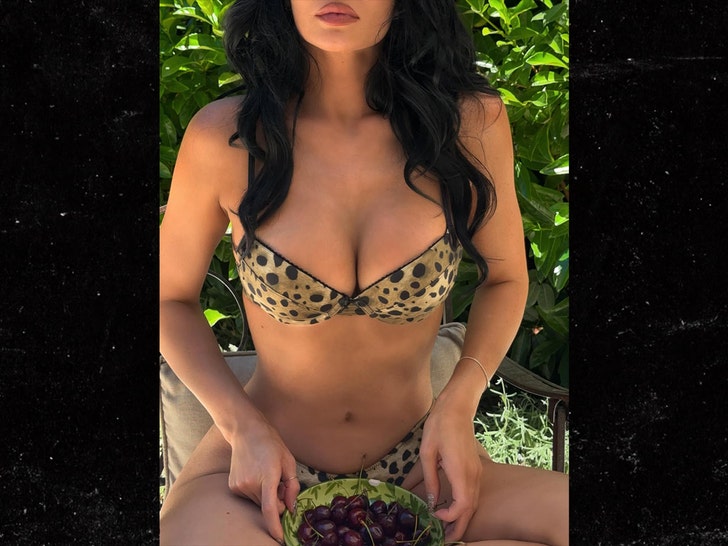 kylie-jenner-bikini-ig-3