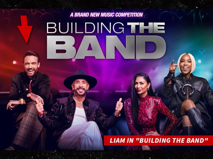 liam payne building the band netflix sub swipe