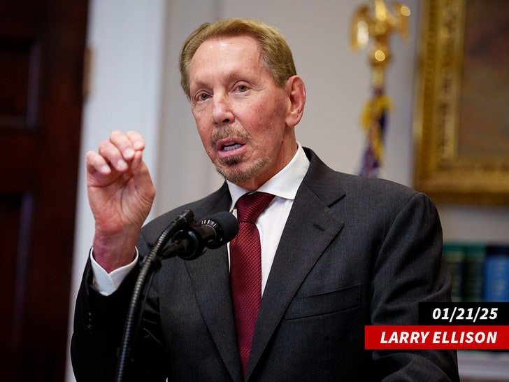 Larry Ellison sub getty swipe