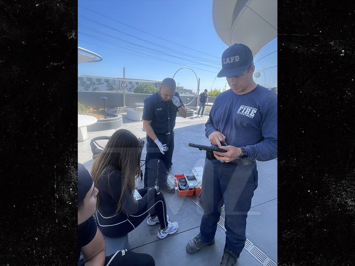 Woman injured by umbrella at Tesla diner in Hollywood tmz 12