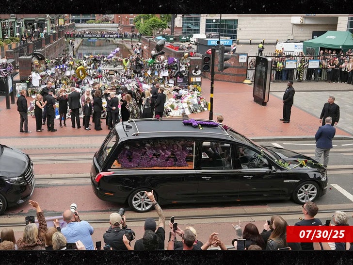 ozzy osbourne hearse birmingham sub getty swipe