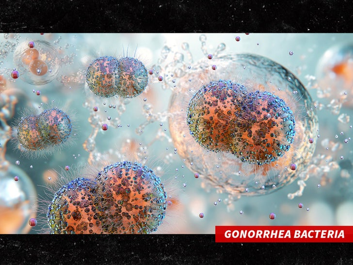 Gonorrhea bacteria sub getty swipe