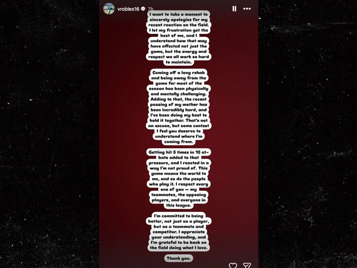 Victor Enrique Robles Brito insta 1