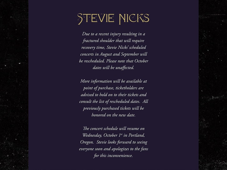stevie nicks post isnta 1