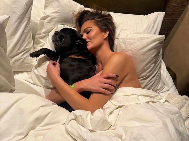 0826-Celebs-Cuddling-Dogs-Sub1