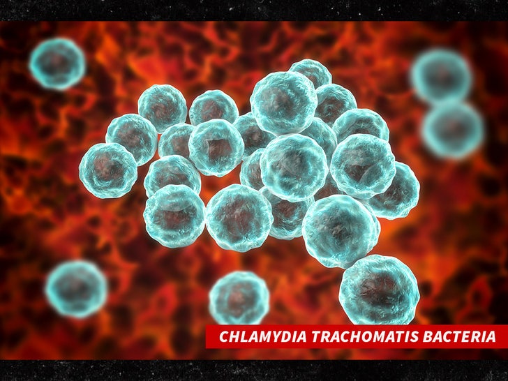 Chlamydia trachomatis bacteria sub getty swipe