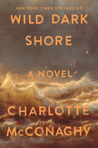 Wild Dark Shore A Novel by Charlotte McConaghy Flatiron Books 'Wild Dark Shore' by Charlotte McConaghy