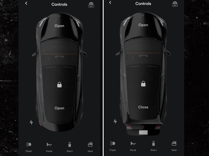 tesla open controls