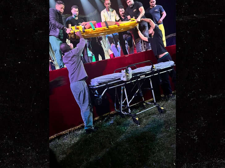 Circus performer crashes to ground in front of stunned spectators during hair hanging act jampress 1
