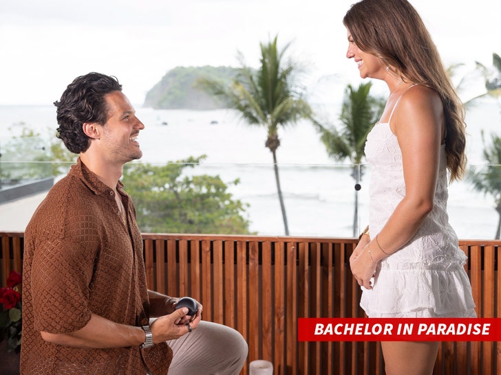 Bachelor in Paradise Disney-Bahareh Ritter