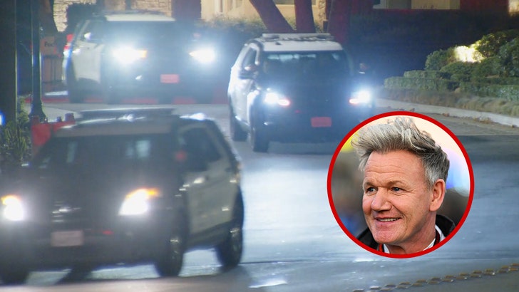 092325_gordon_ramsey_swatting_kal
