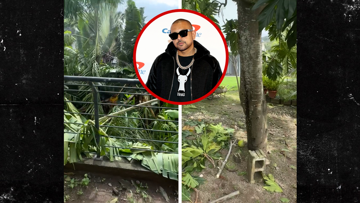 103025 sean paul ka2l.jpg