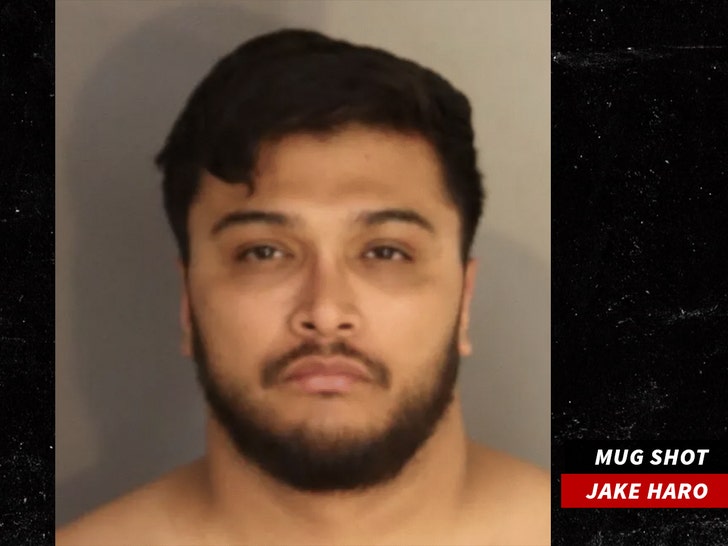 jake haro mug shot  The San Bernardino County Sheriff’s Department 1