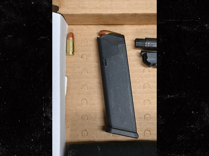 Luigi Mangione gun 2