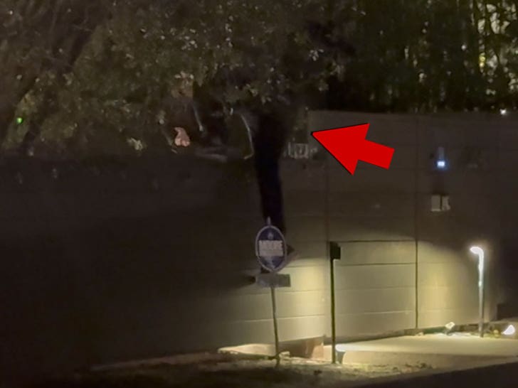 010925_tobey_maguire_climbing