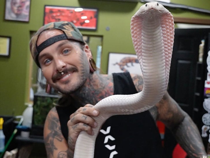 Tyler Nolan Through The Years