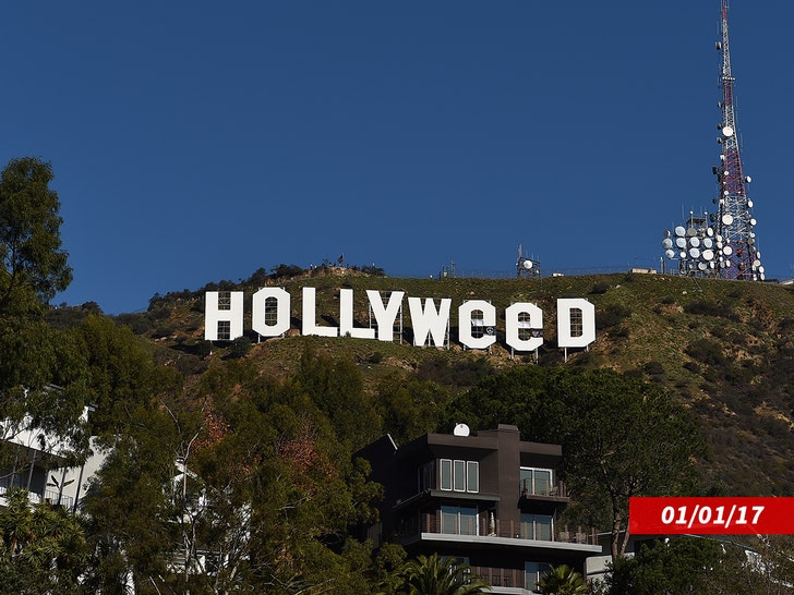 hollyweed-sub-getty-1