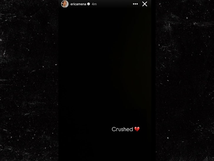 erica mena insta story