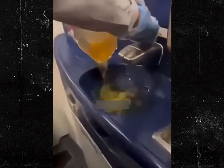 013026_flight_crew_toilets_sink