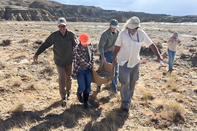 Touren Pope finds turtle fossil Craig Thomas, BLM Rock Springs Field Office