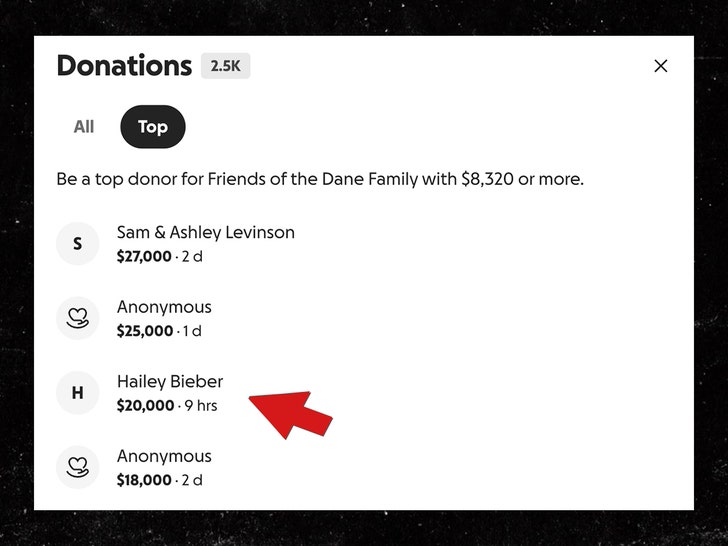 hailey-bieber-eric-dane-gofundme-1