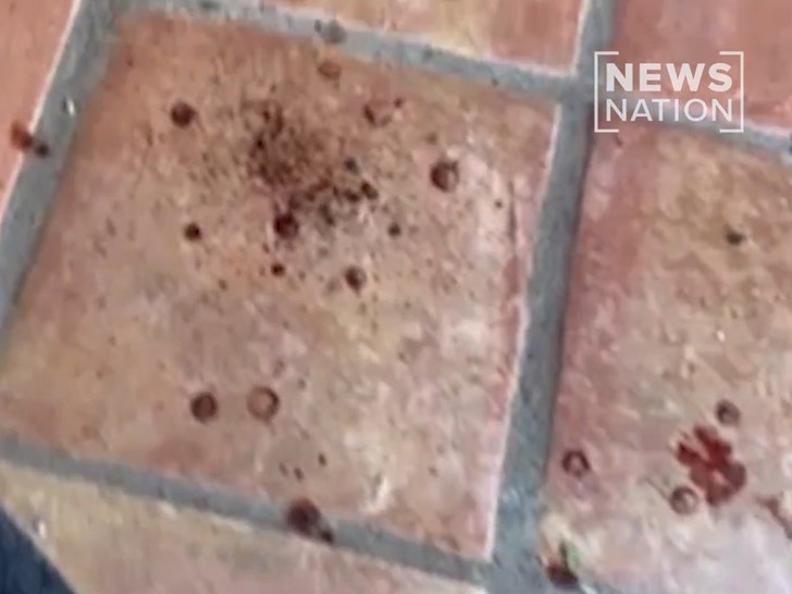 nancy-guthrie-blood-1-02-03-2026