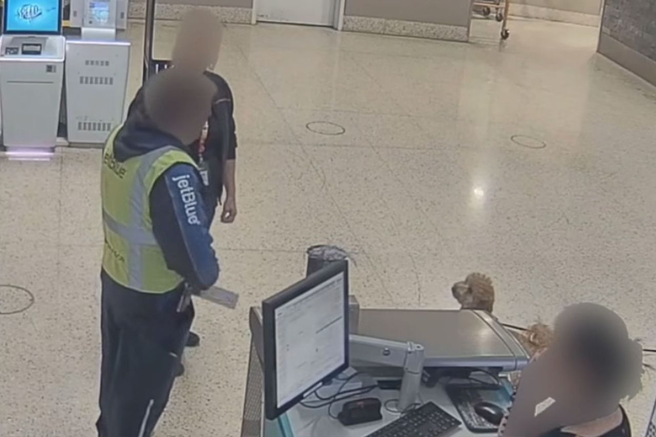 Woman Arrested for Abandoning Dog at Airport to Board Plane Without It When Her Service Dog Documentation Was Turned Down Dog abandoned at Las Vegas airport on Feb. 2, 2026 LVMPD