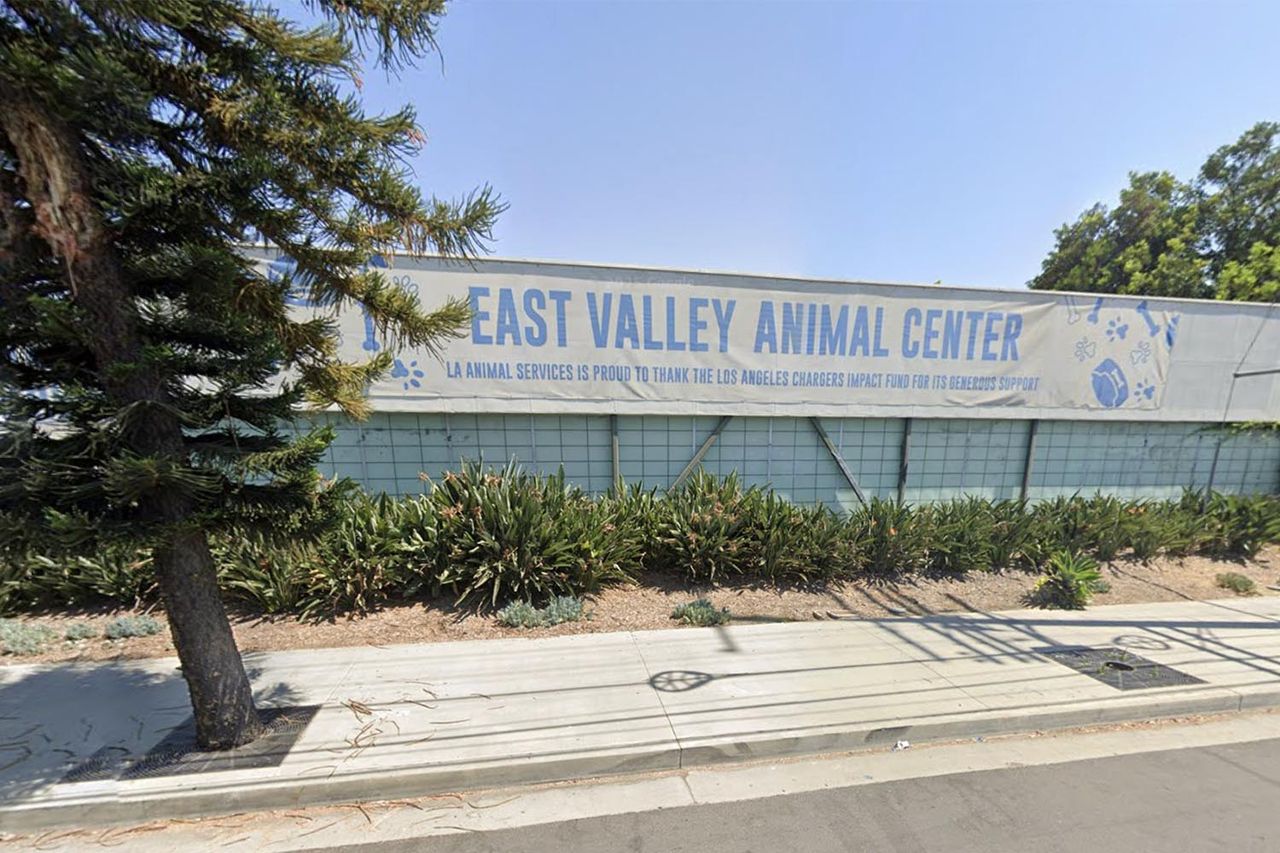 A photo of East Valley Animal Shelter in Van Nuys, Calif.Credit: Google Maps