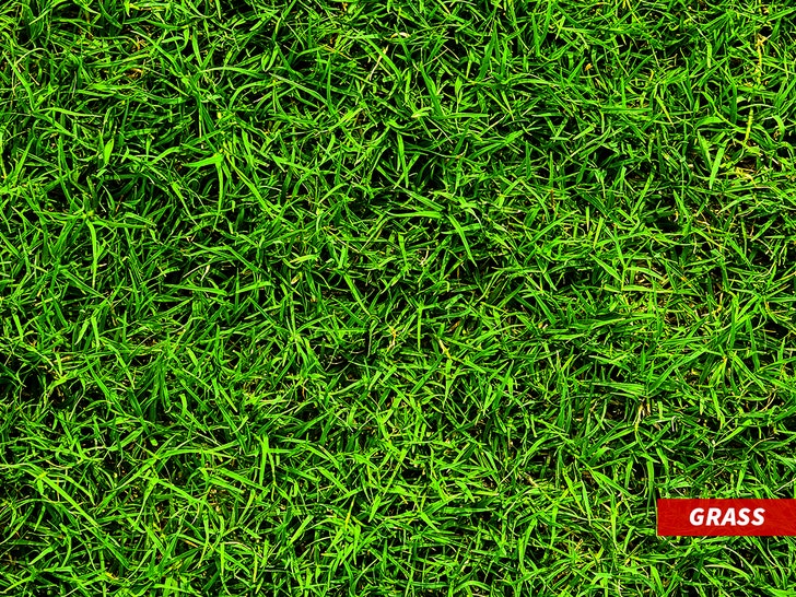 grass-sub-getty-2
