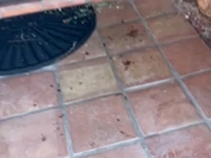 nancy-guthrie-blood-2-02-03-2026