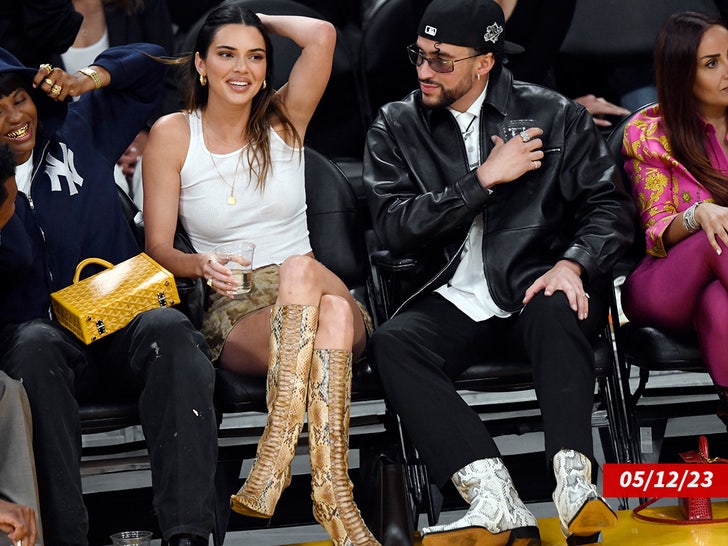 bad bunny kendall sub