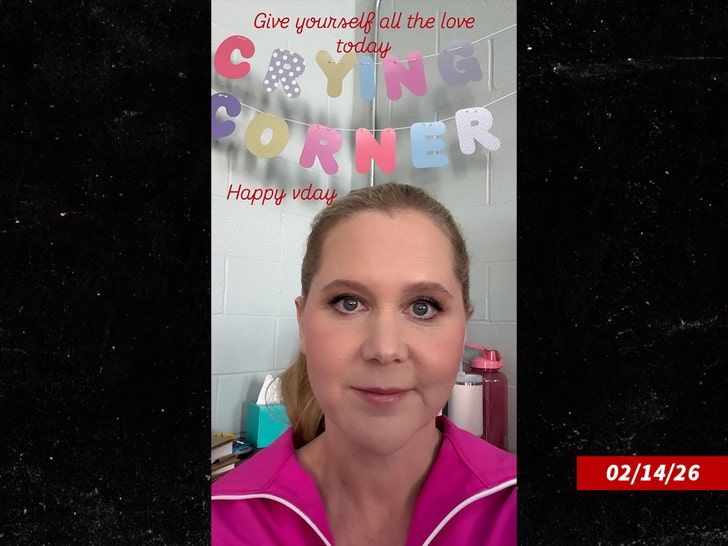 amy-Schumer-valentines-day-sub-ig-1