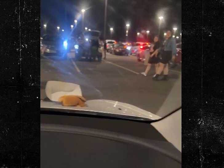 021226 cardi parking lot fight sg3