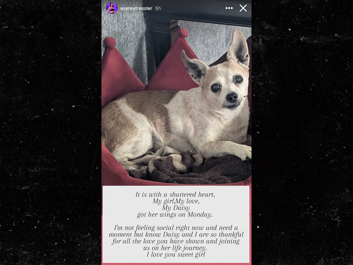 avery tressler sub insta