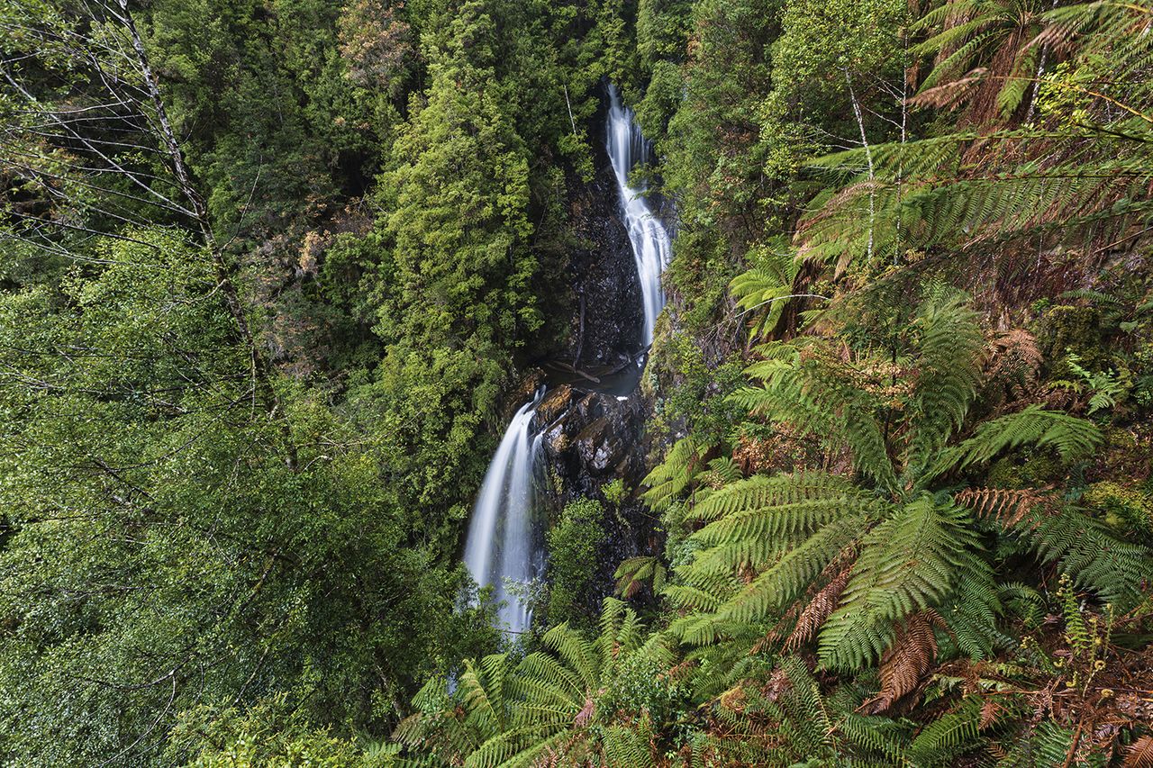 Philosopher Falls in Tasmania, Australia. Getty
