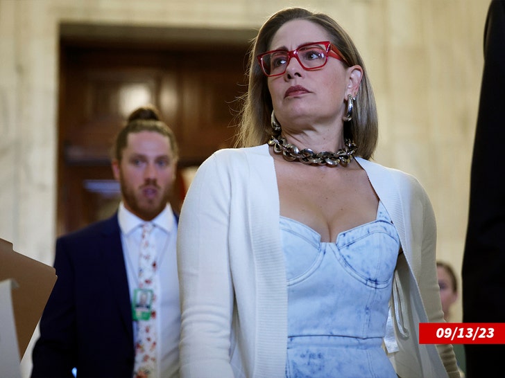 krysten sinema getty 4