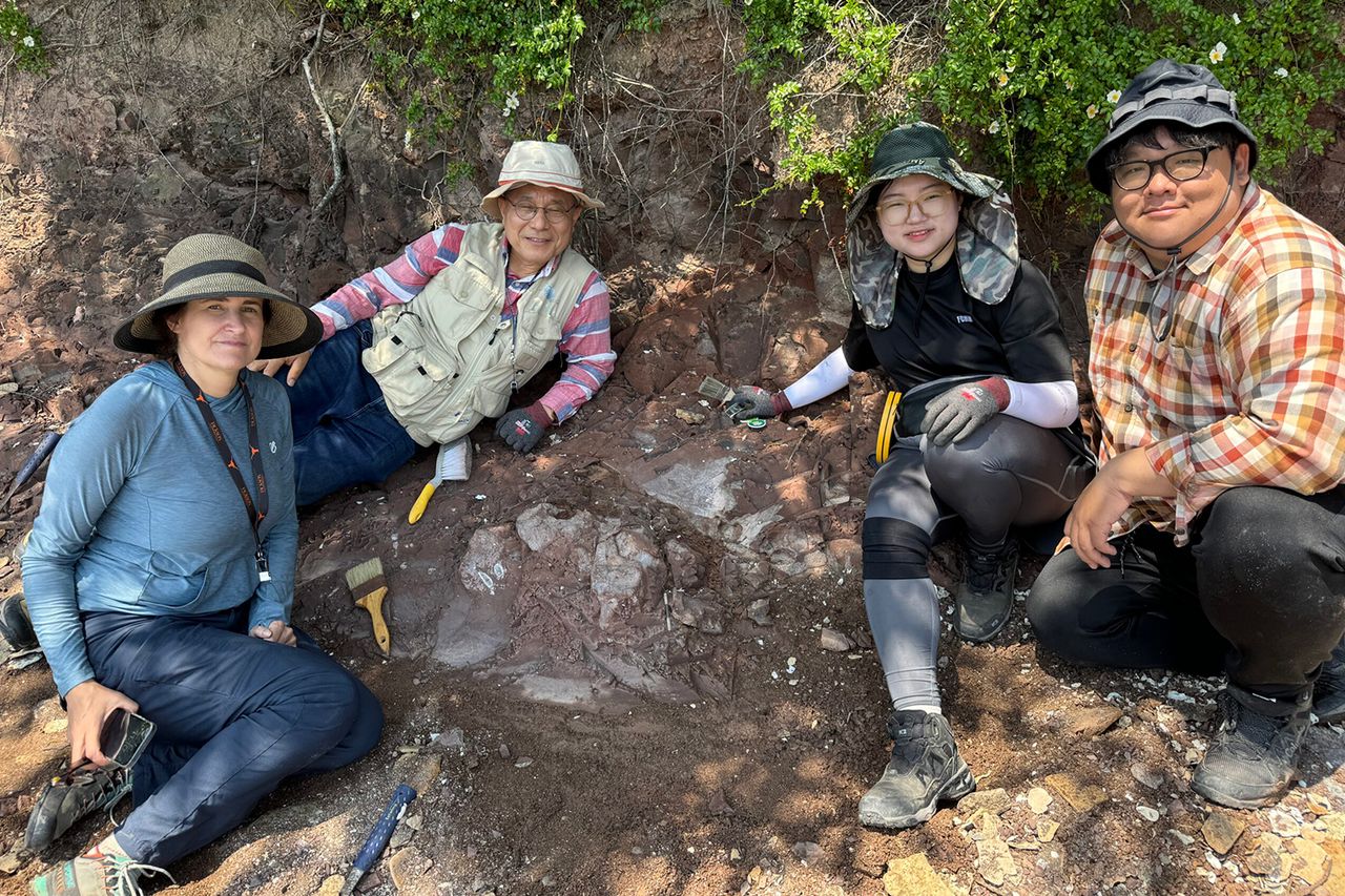 Researchers from the University of Texas at Austin and the Korean Dinosaur Research CenterCredit: Jongyun Jung
