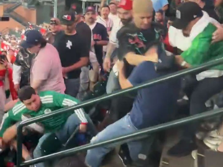 031026_mexico_usa_wbc_brawl_fight