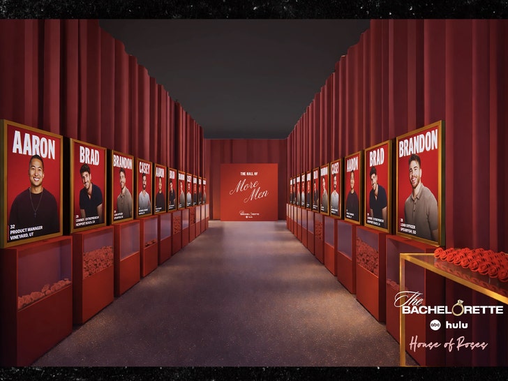 bachelorette pop up set ABC 2