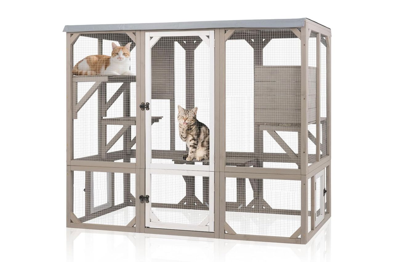 Magazoopet Large Catio Outdoor Cat Enclosure Credit: Amazon