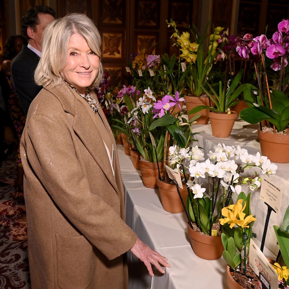 Martha StewartCredit: Bryan Bedder/Getty