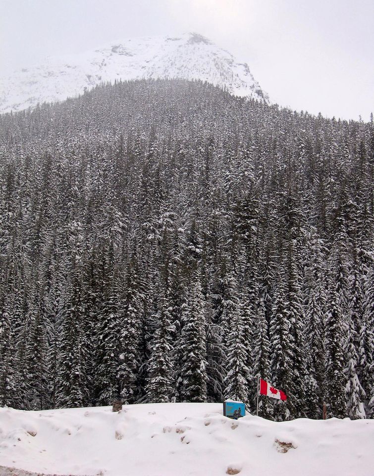 Mount Cheops is seen over the Trans-Canada Highway at the summit of Rogers Pass, B.C. on Saturday Feb. 1, 2003. Seven skiers, all high school students, were killed after being caught in an avalanche Saturday - the second deadly snow slide in two weeks in this area of east-central British Columbia, provincial authorities said. Mount Cheops seen over the Trans-Canada Highway.Credit: AP Photo/Canadian Press, Gregg Chamberlain