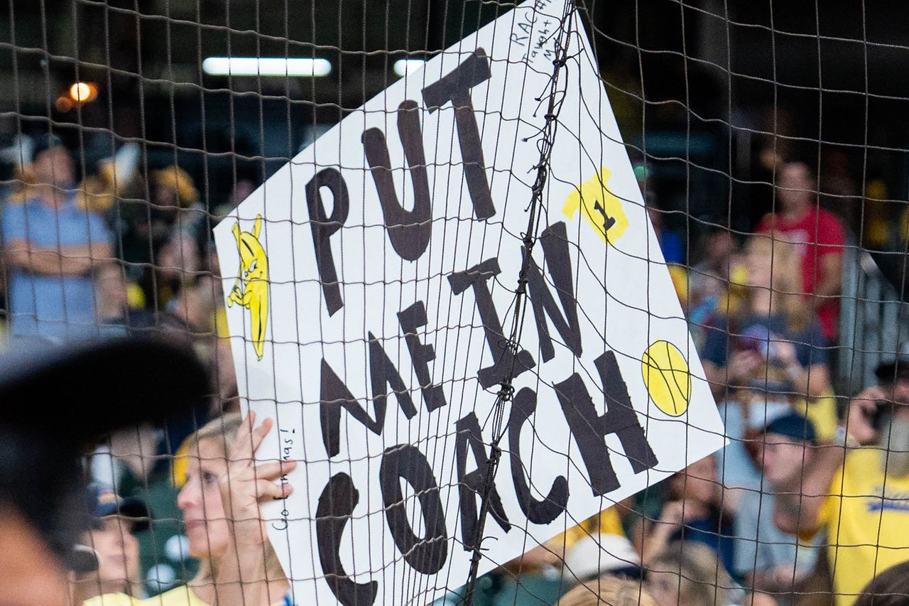 A ‘Put Me in Coach’ sign at a Savannah Bananas gameCredit: Houston Astros/Getty