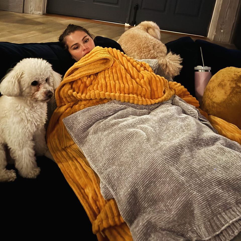 Selena Gomez Shares Throwback Photo Dump Including 4th July Celebrations with Taylor Swift and First Wedding Dress Fittings Selena Gomez and her pet dogsCredit: Selena Gomez/Instagram