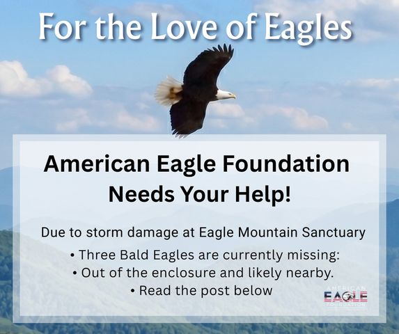 Notice from the American Eagle FoundationCredit: American Eagle Foundation/Facebook