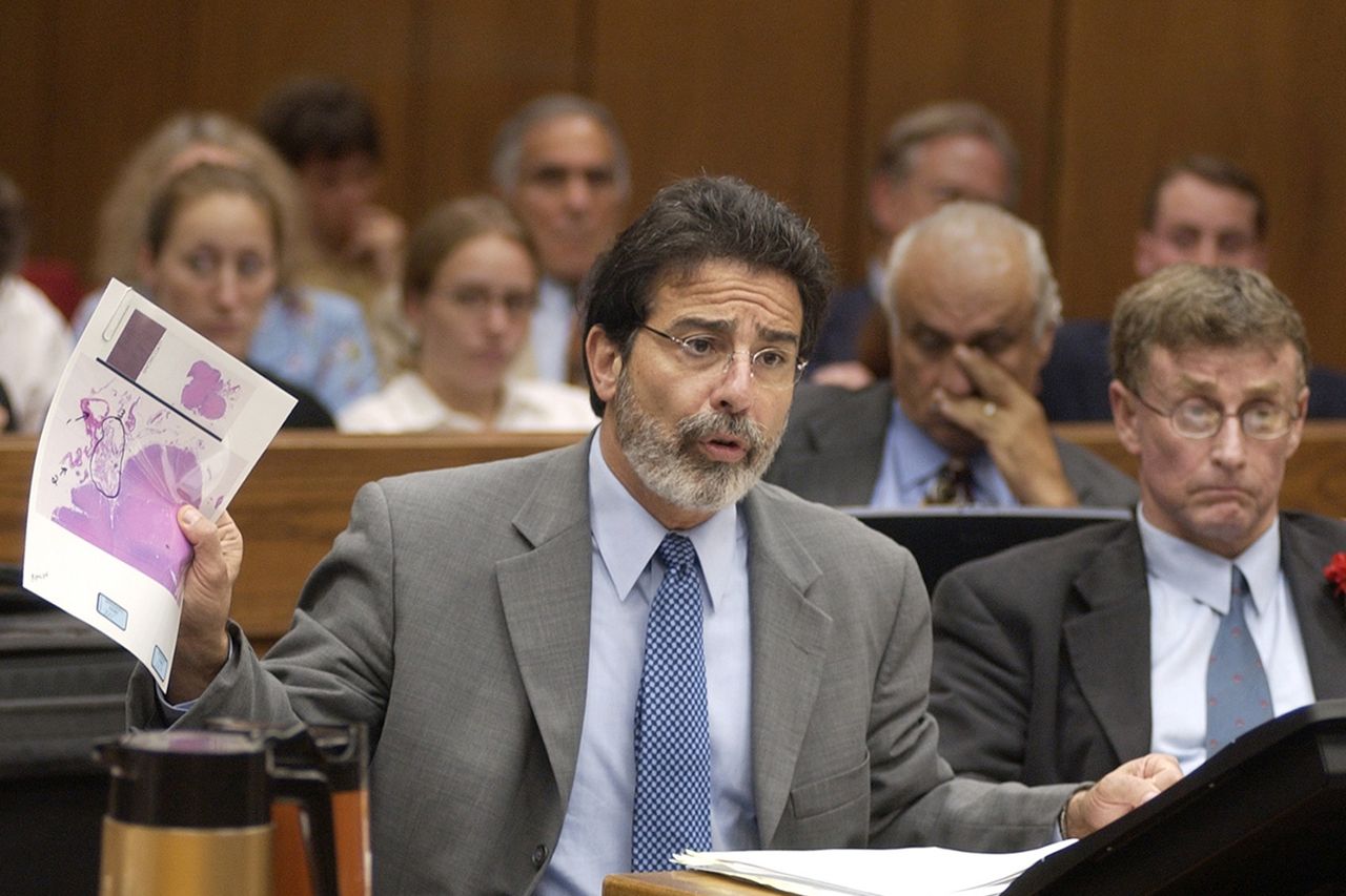 Defense attorney David Rudolf holds up an illustration of a section of Elizabeth Ratliff's brain during Michael Peterson's murder trial in 2003Credit: AP Photo/Bill Willcox